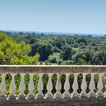 Villa Filomena Montecorice Extérieur photo