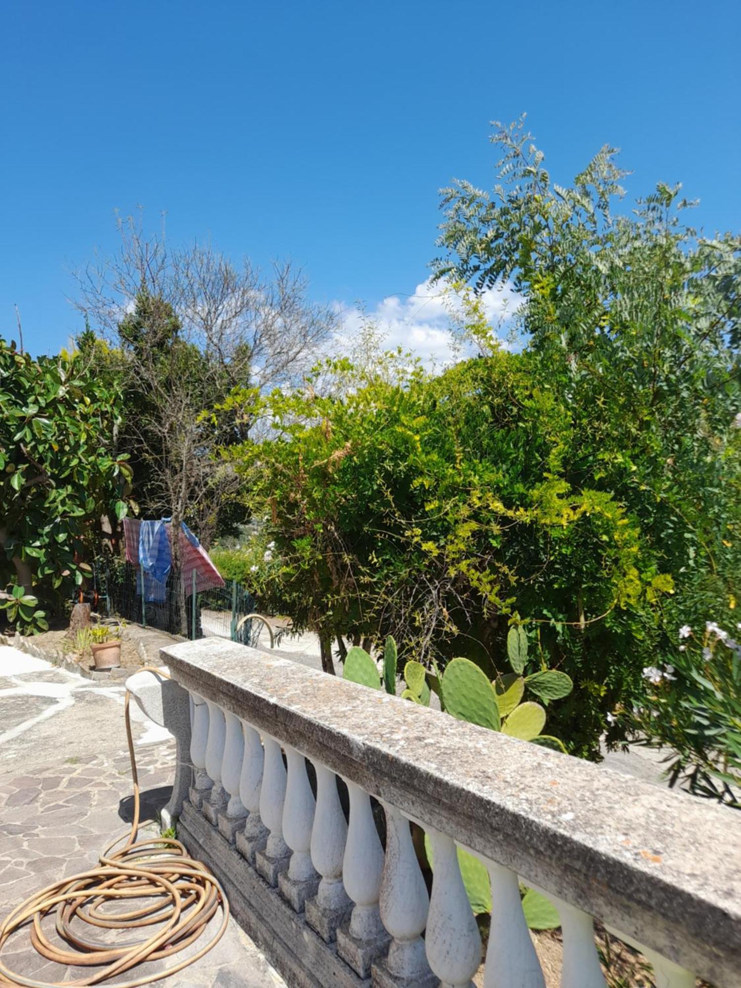 Villa Filomena Montecorice Extérieur photo